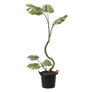 G}ϗtA CeAXe1.7 ktA^Cvl CeA tFCNO[  A[gO[  rO A v[g Mtg  Lb` ɏ j X