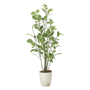 G}ϗtA |VX1.15 ktA^Cvl CeA tFCNO[  A[gO[  rO A v[g Mtg  Lb` ɏ j X ItB