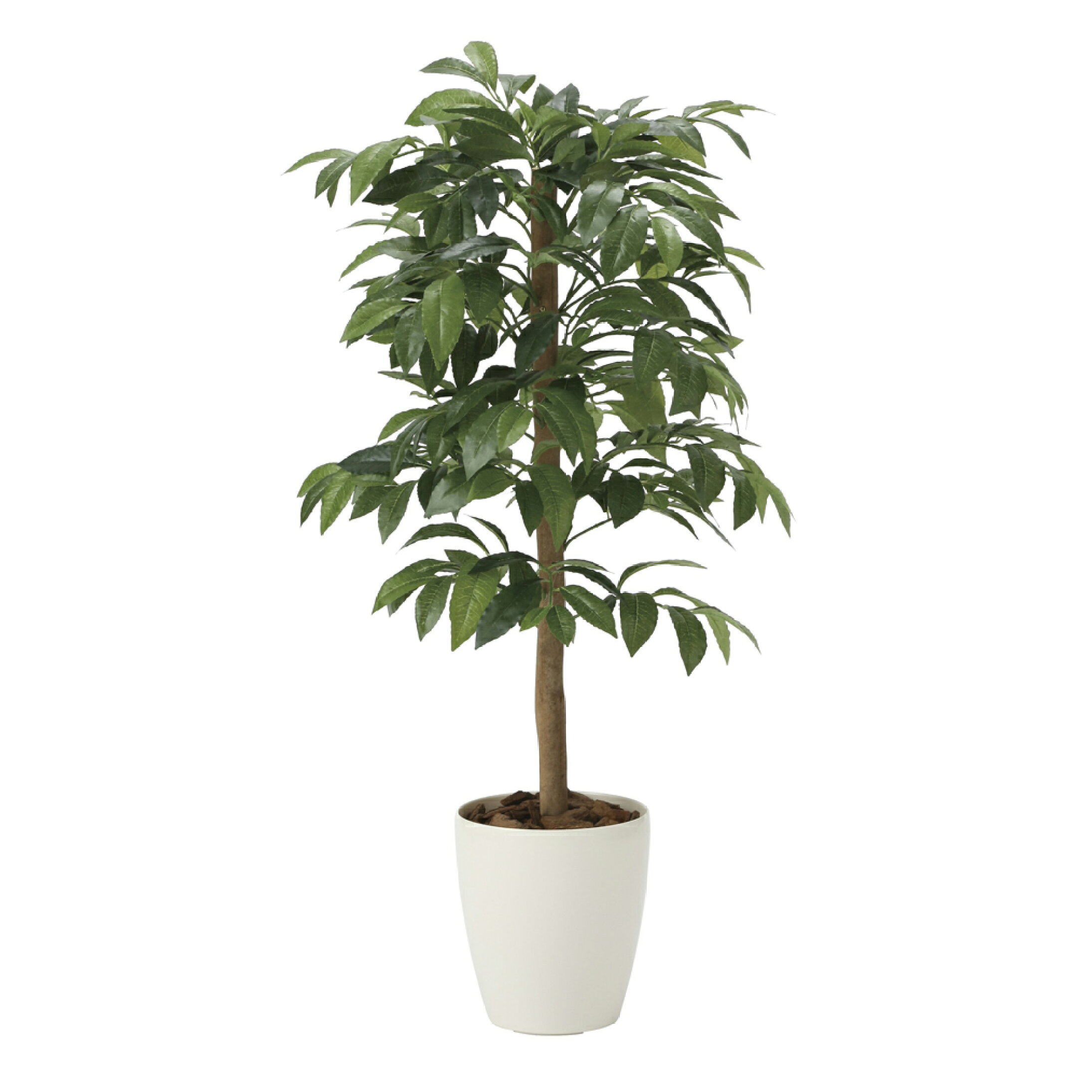 光触媒観葉植物 アルデシア(万両)90 〔フロアタイプ〕