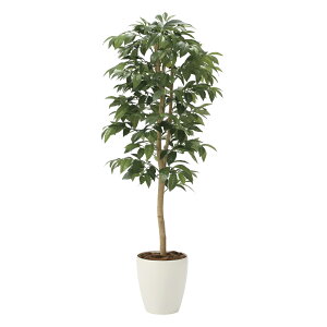 G}ϗtA AfVA()1.3 ktA^Cvl CeA tFCNO[  A[gO[  rO A v[g Mtg  Lb` ɏ j X I