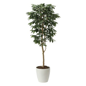 G}ϗtA AfVA()1.6 ktA^Cvl CeA tFCNO[  A[gO[  rO A v[g Mtg  Lb` ɏ j X I