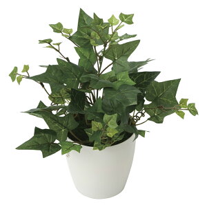 G}ϗtA ACr[ ke[u^Cvl CeA tFCNO[  A[gO[  rO A v[g Mtg  Lb` ɏ j X ItBX 