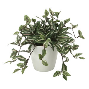 G}ϗtA gfBXJeBA ke[u^Cvl CeA tFCNO[  A[gO[  rO A v[g Mtg  Lb` ɏ j X