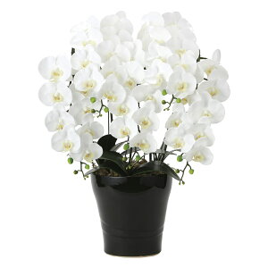 A[gt[ tbVӒ 5{W CeA A   j Mtg G} v[g ؂₩ p ړ] J JXj X  I[Lbh rO ͂Ȃ t