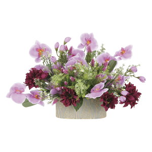 A[gt[ NIp[v ke[u^Cvl CeA ɏ   Mtg ؂₩ j  v[g rO  Lb` t[ AWg 3LTCY