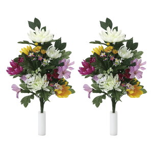 yI|Cg100obNzG} 㕧ԑ2Zbg    ~ ފ d @   Q O O ͂Ȃ AWg LTCY