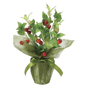 G}ϗtA TN{ ke[u^Cvl CeA tFCNO[  A[gO[  rO A v[g Mtg  Lb` ɏ j X ItB