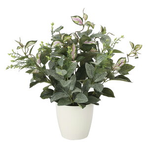 玄関 鉢植え おしゃれの人気商品 通販 価格比較 価格 Com 玄関 鉢植え おしゃれの人気商品 通販 価格比較 価格 Com