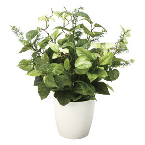 G}ϗtA ~bNX|gX ke[u^Cvl CeA tFCNO[  A[gO[  rO A v[g Mtg  Lb` ɏ j X I