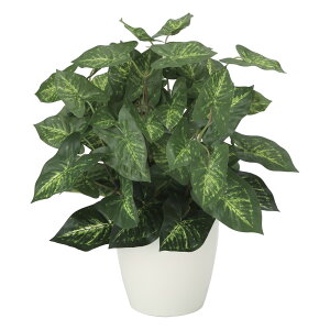 G}ϗtA JW[M ke[u^Cvl CeA tFCNO[  A[gO[  rO A v[g Mtg  Lb` ɏ j X It