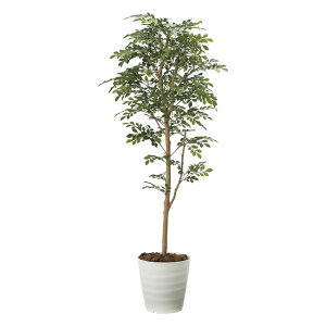 G}ϗtA glR 1.6 ktA^Cvl CeA tFCNO[  A[gO[  rO A v[g Mtg  Lb` ɏ j X ItBX 