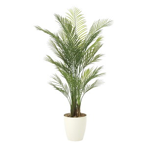 G}ϗtA AJp[1.5(|) ktA^Cvl CeA tFCNO[  A[gO[  rO A v[g Mtg  Lb` ɏ j X