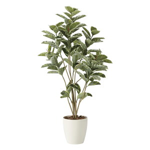 yI|Cg100obNzG}ϗtA AeV}DX1.6 ktA^Cvl CeA tFCNO[  A[gO[  rO A v[g Mtg  Lb` 