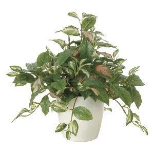 G}ϗtA c[gz ke[u^Cvl CeA tFCNO[  A[gO[  rO A v[g Mtg  Lb` ɏ j X It