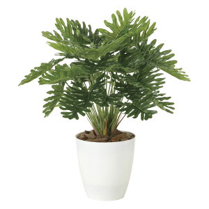 G}ϗtA tbVNbJoM ke[u^Cvl CeA tFCNO[  A[gO[  rO A v[g Mtg  Lb` ɏ j 