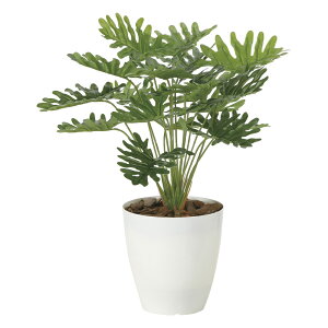 G}ϗtA tbVNbJo ke[u^Cvl CeA tFCNO[  A[gO[  rO A v[g Mtg  Lb` ɏ j X