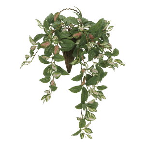 yX[p[SALE10OFFzG}ϗtA Ǌ|c[gz kǊ|^Cvl CeA tFCNO[  A[gO[  rO Ǌ| v[g Mtg  Lb` 