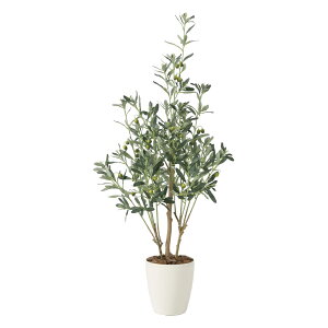 G}ϗtA I[u1.1 ktA^Cvl CeA tFCNO[  A[gO[  rO A v[g Mtg  Lb` ɏ j X ItBX 