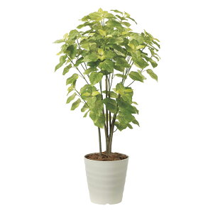 G}ϗtA y[1.0 ktA^Cvl CeA tFCNO[  A[gO[  rO A v[g Mtg  Lb` ɏ j X ItBX 