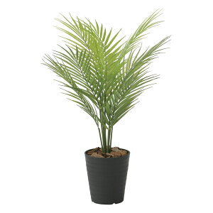 G}ϗtA p[c[65(|) ke[u^Cvl CeA tFCNO[  A[gO[  rO A v[g Mtg  Lb` ɏ j 