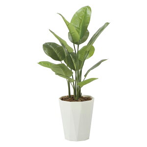 G}ϗtA XL_vTX1.0 ktA^Cvl CeA tFCNO[  A[gO[  rO A v[g Mtg  Lb` ɏ j X I