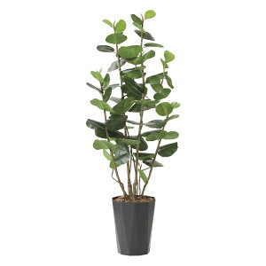 G}ϗtA V[O[vDX1.7 ktA^Cvl CeA tFCNO[  A[gO[  rO A v[g Mtg  Lb` ɏ j X It