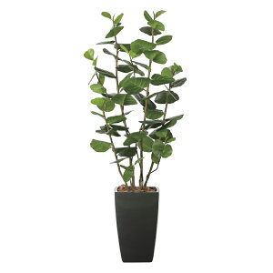 G}ϗtA A[oV[O[v1.8 ktA^Cvl CeA tFCNO[  A[gO[  rO A v[g Mtg  Lb` ɏ j X