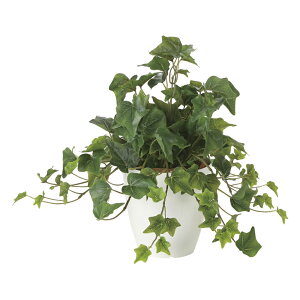 G}ϗtA tbVACr[ ke[u^Cvl CeA tFCNO[  A[gO[  rO A v[g Mtg  Lb` ɏ j X