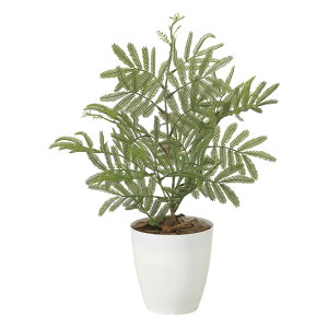 G}ϗtA ˂ނ̖(|) ke[u^Cvl CeA tFCNO[  A[gO[  rO A v[g Mtg  Lb` ɏ j X I