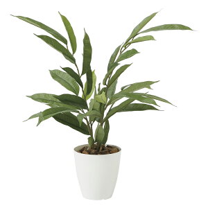 G}ϗtA AXeo[LO55 ke[u^Cvl CeA tFCNO[  A[gO[  rO A v[g Mtg  Lb` ɏ 