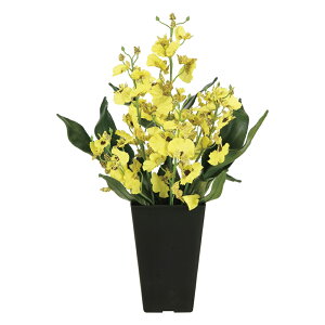 A[gt[ IVW[ ke[u^Cvl G} CeA ɏ F   Mtg ؂₩ j  v[g rO  Lb` t[ AWg 