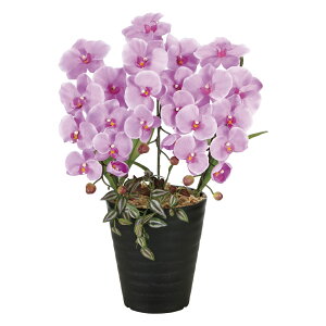 A[gt[ vZXӒL ke[u^Cvl CeA A   j Mtg G} v[g sN ؂₩ p J JXj X ړ] I[Lbh r