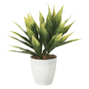 G}ϗtA hZi(|) ke[u^Cvl CeA tFCNO[  A[gO[  rO A v[g Mtg  Lb` ɏ j X I