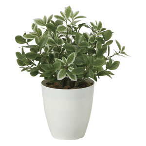 G}ϗtA ~j[tL ke[u^Cvl CeA tFCNO[  A[gO[  rO A v[g Mtg  Lb` ɏ j X ItB