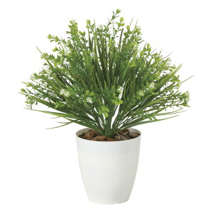 G}ϗtA ~bNXOX(|) ke[u^Cvl CeA tFCNO[  A[gO[  rO A v[g Mtg  Lb` ɏ j 