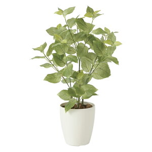 G}ϗtA y[70 ke[u^Cvl CeA tFCNO[  A[gO[  rO A v[g Mtg  Lb` ɏ j X ItBX