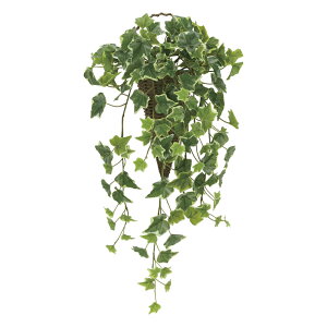 G}ϗtA Ǌ|ACr[ kǊ|^Cvl CeA tFCNO[  A[gO[  rO Ǌ| v[g Mtg  Lb` ɏ j X