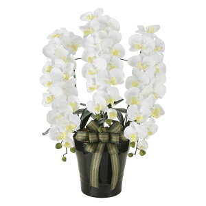 A[gt[ CӒW ktA^Cvl CeA A   j  Mtg G} v[g ؂₩ p ړ] J JXj X I[Lbh rO ͂