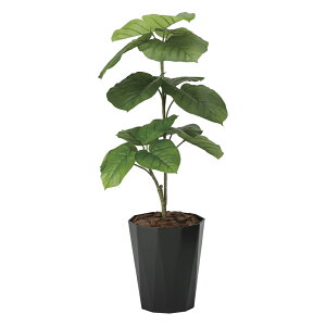 yI|Cg100obNzG}ϗtA Ex[^1.0 ktA^Cvl CeA tFCNO[  A[gO[  rO A v[g Mtg  Lb`