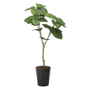 yI|Cg100obNzG}ϗtA Ex[^1.35 ktA^Cvl CeA tFCNO[  A[gO[  rO A v[g Mtg  Lb`