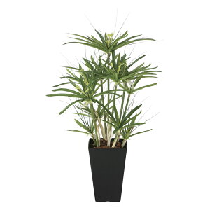 G}ϗtA psX60 ke[u^Cvl CeA tFCNO[  A[gO[  rO A v[g Mtg  Lb` ɏ j X ItBX