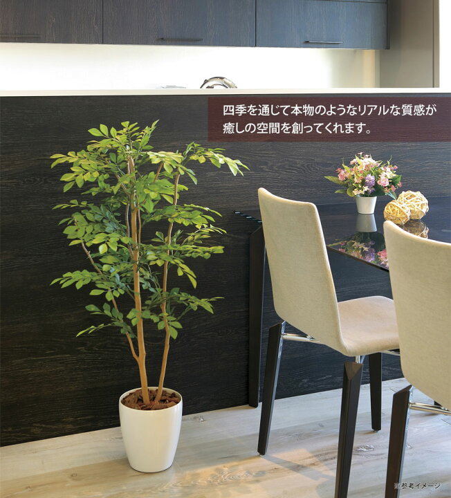 楽天市場】光触媒観葉植物 フレッシュマネーツリー1.15 〔フロアタイプ 