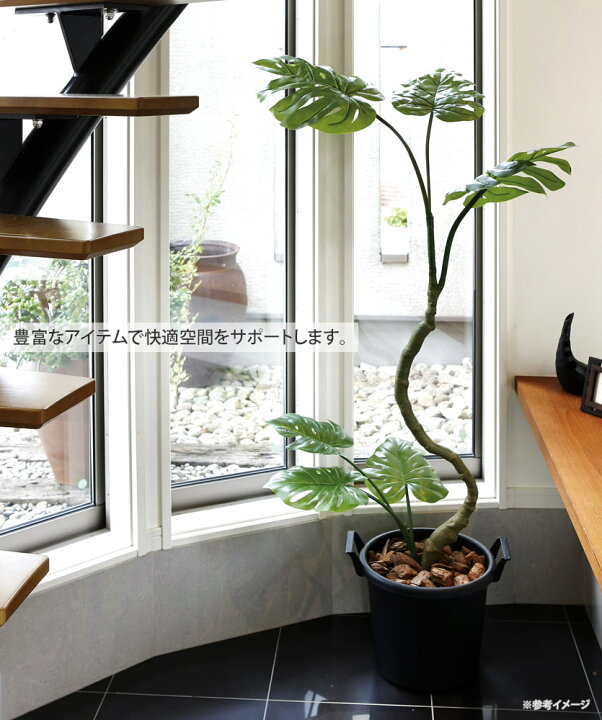 楽天市場】光触媒観葉植物 デザインウンベラータ1.8 〔フロアタイプ 