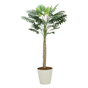 yX[p[SALE10OFFzG}ϗtA Z[1.8 ktA^Cv(nCTCY)l tFCNO[ lH ϗtA CeA A  A[gO[  j X ItBX 5LTCY