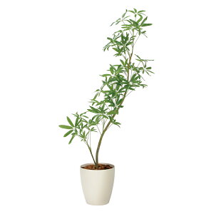 yX[p[SALE10OFFzG}ϗtA tbVCeAVFt1.45 ktA^Cv(nCTCY)l tFCNO[ ϗtA CeA A  A[gO[  j X