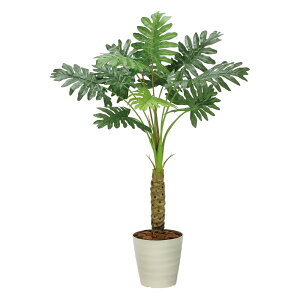 yX[p[SALE10OFFzG}ϗtA Z[1.25 ktA^Cv(nCTCY)l tFCNO[ lH ϗtA CeA A  A[gO[  j X ItBX 5LTCY