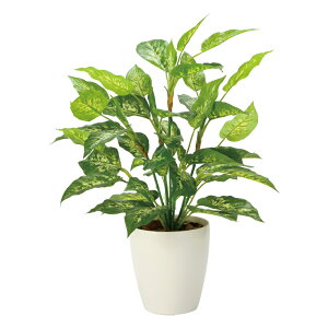 G}ϗtA tbVfBtFoLAL ke[u^Cvl tFCNO[ lH ϗtA CeA A  A[gO[  j X ItBX 5LTCY