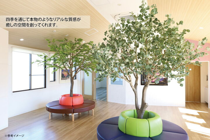 楽天市場】光触媒観葉植物 DXオリーブ2.5(組立式) 〔フロアタイプ(ハイ 