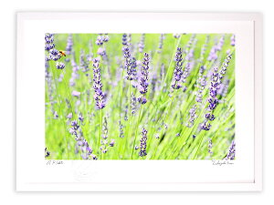 ŉ G x_[()/A[gtHg CeA z z i G |X^[ A[g A[gpl rO  v[g _ A[gt[   Ǌ| G