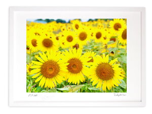 ŉ G Ȃ悵`Ђ܂蔨`/CG[ A[gtHg CeA z z i G |X^[ A[g A[gpl rO  v[g _ A[gt[  